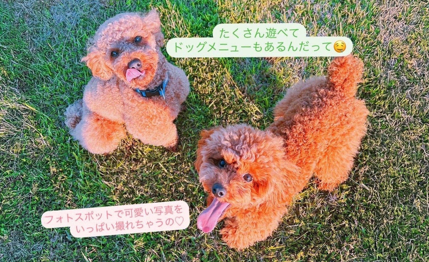 ドッグラン＆カフェ ジョワレーヴ